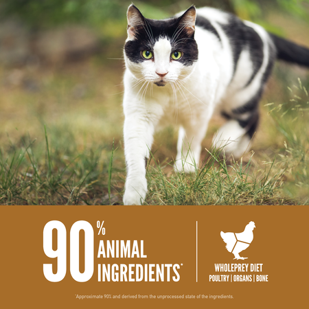 Original Cat Food ORIJEN